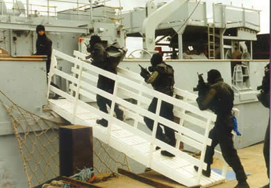 Image of maritime security