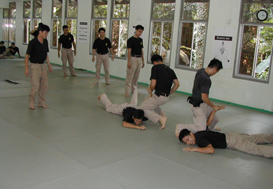 Image of training